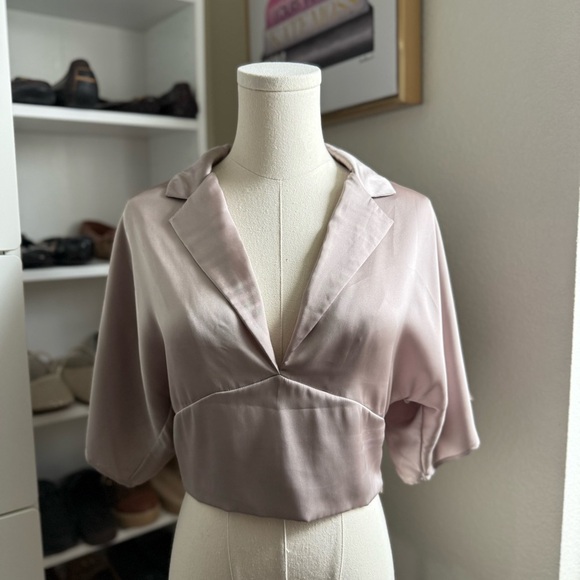 Zara Light Brown Metallic Elegant Short Sleeve V Neck Crop Blouse Top Size XS - Picture 3 of 6